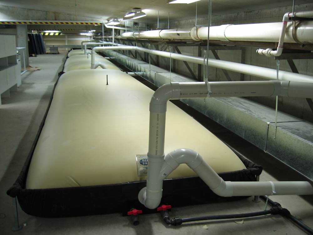 eco-sac-rainwater-bladder-tanks-commercial-installation-80000-litres